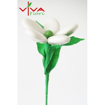 Margaretka Środek Zielony